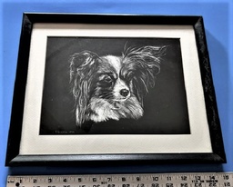 Framed print of a B&W papillon on black background 15”x13”